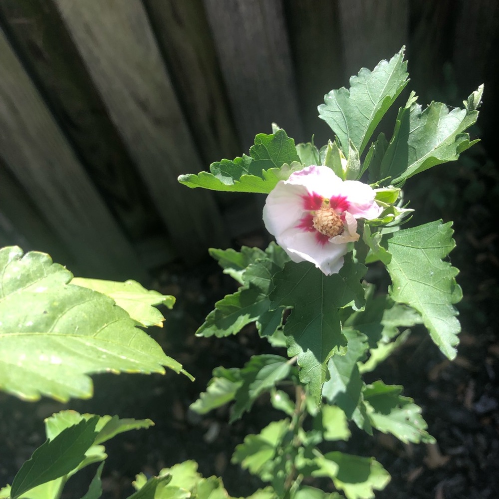 Meet your Posher, Kristina